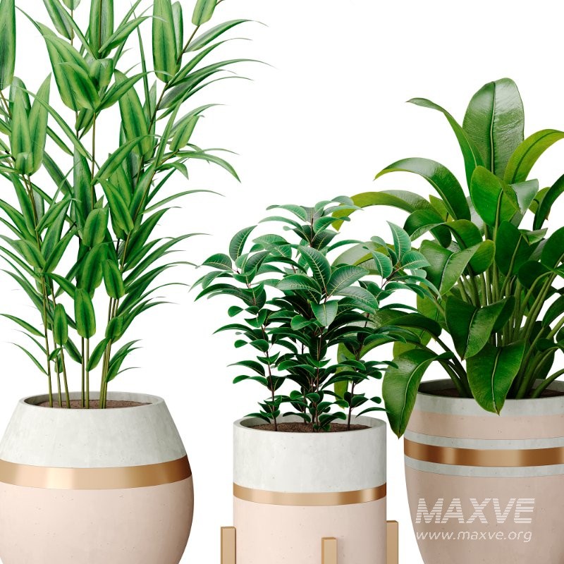 Bouquetofflowers in concrete vase - Image 5