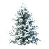 Douglas Fir Winter Tree 03 - Thumbnail 2