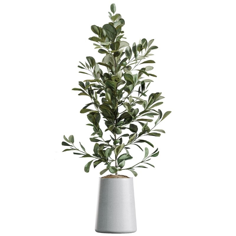 ntal forms, and vibrant fruit detail creates a balanced botanical palette perfect for contemporary homes, minimalist interiors, luxury offices, and commercial spaces. - Image 2