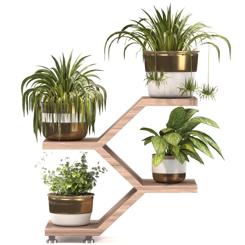 Planting Stand 02 - Image 5