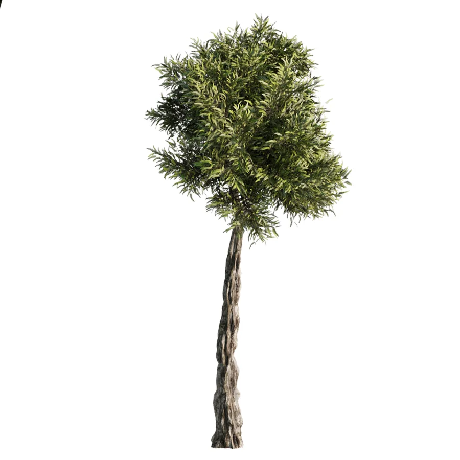 Tree Set41 - Image 3