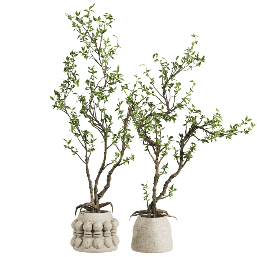 Potted tree - Image 1