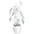 potted plant - Thumbnail 4