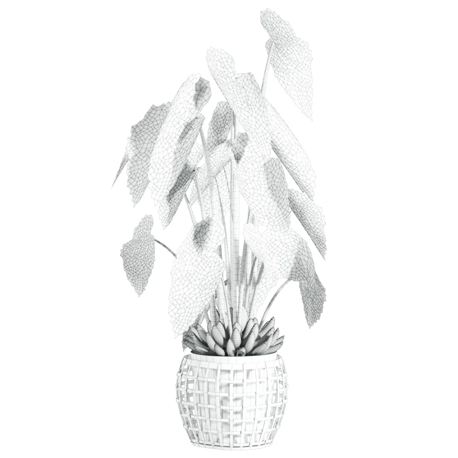 potted plant - Image 4