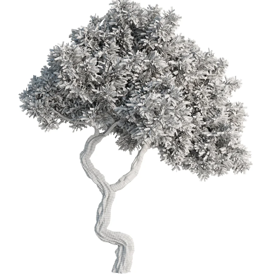 Tree Set40 - Image 4