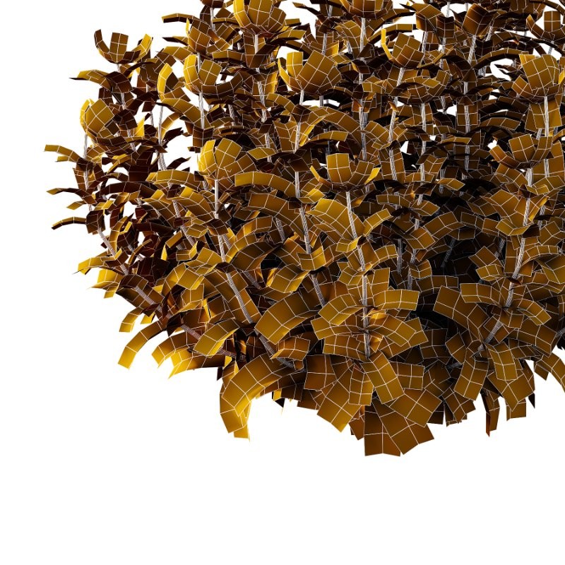 Vinca Minor Plant 02 - Image 6