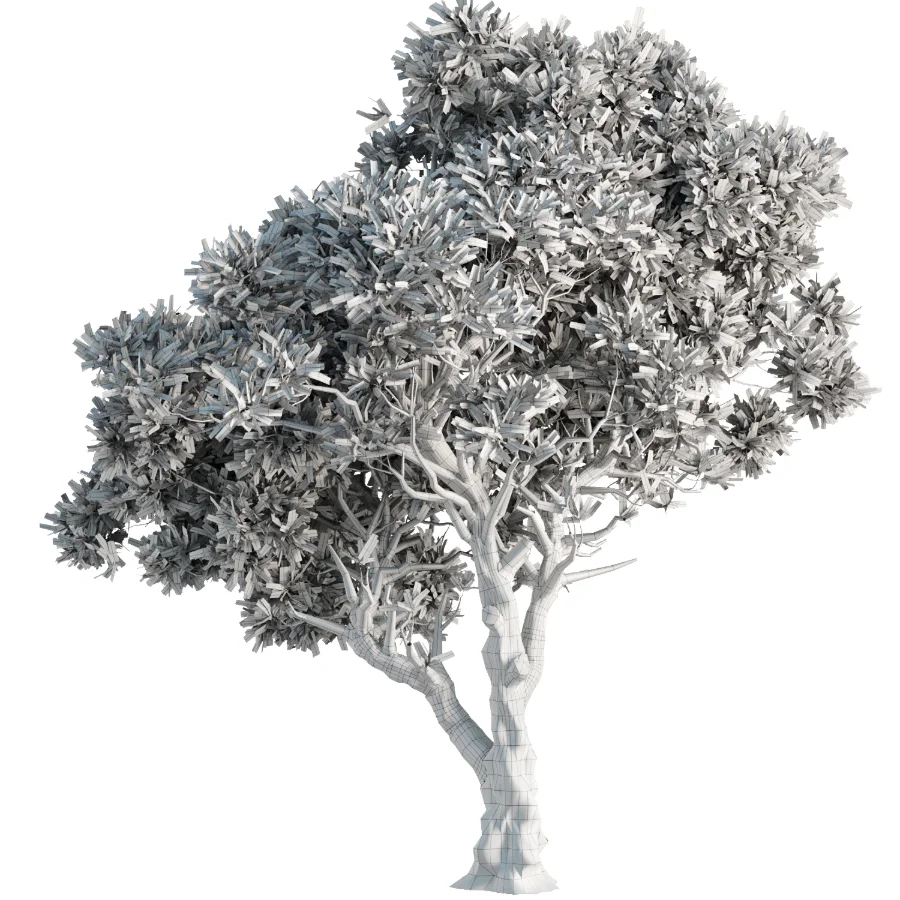 Tree Set46 - Image 2