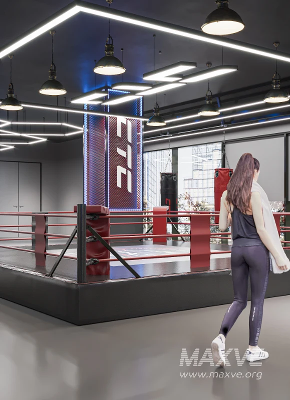 Fighting Boxing Gym - Image 4