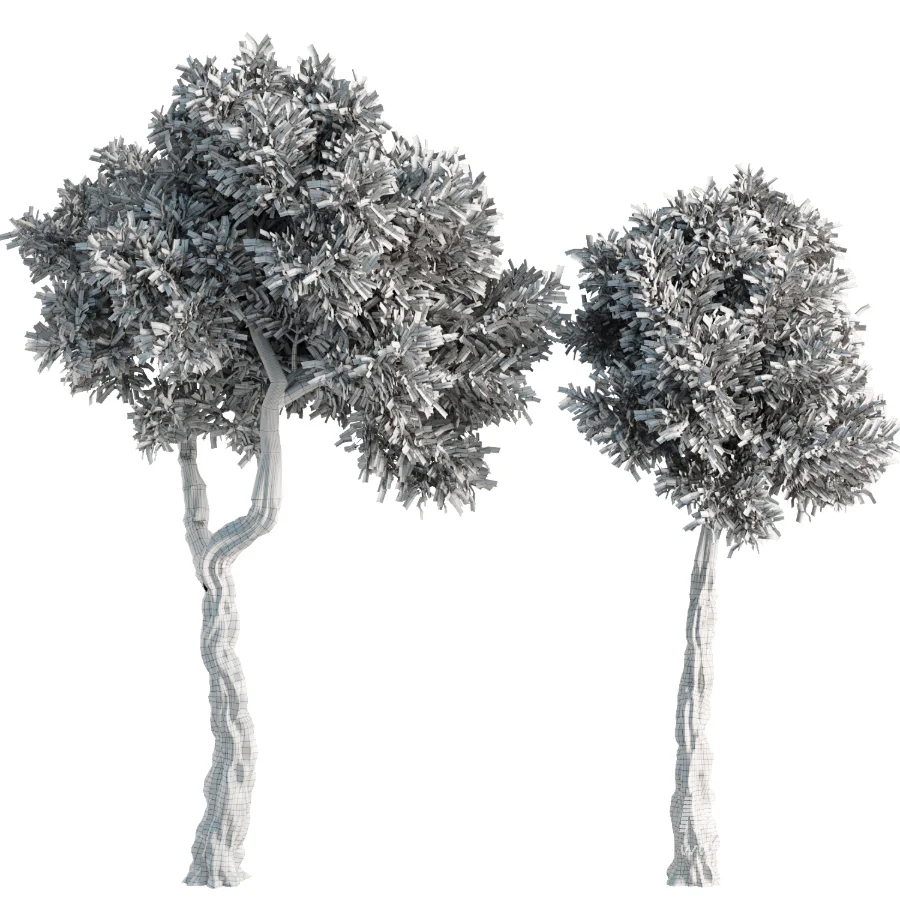 Tree Set41 - Image 2