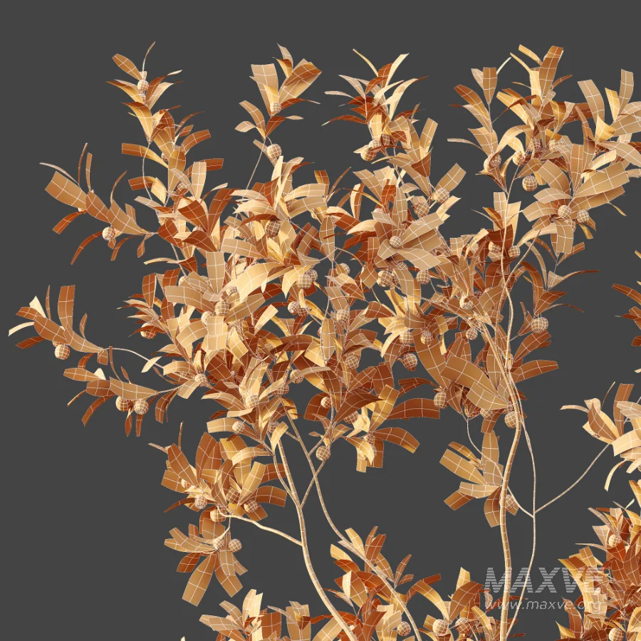 AV Plant Bush Bilberry Vaccinium Myrtillus Fruit - Image 11