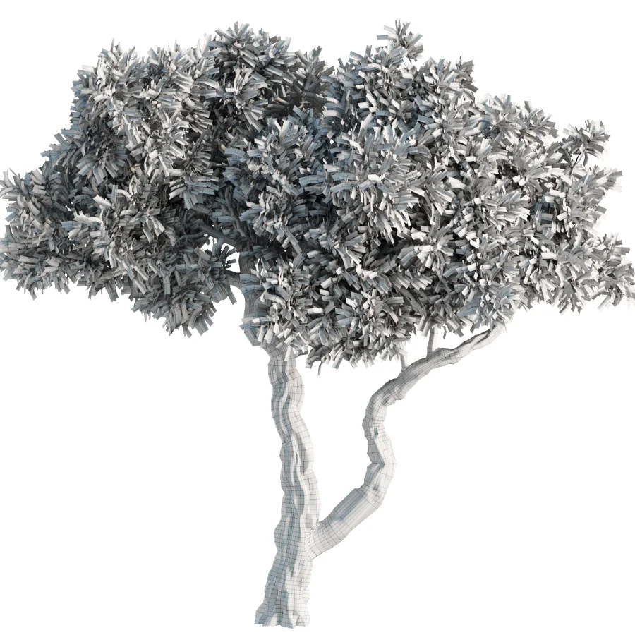 Tree Set42 - Image 3