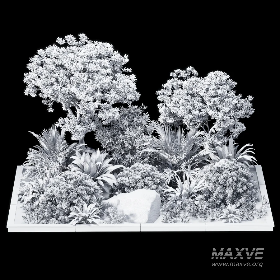 Outdoor plant - Image 4