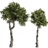 Tree Set41 - Thumbnail 1