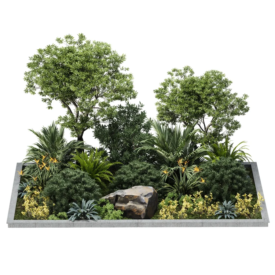 Outdoor plant - Image 1