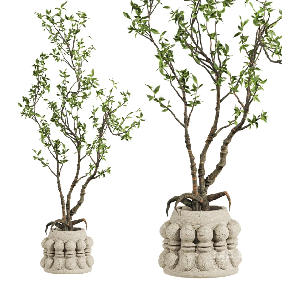 Potted tree - Image 2