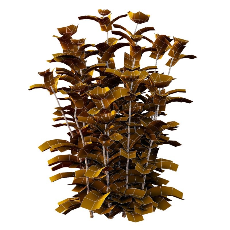 Vinca Minor Plant 01 - Image 7