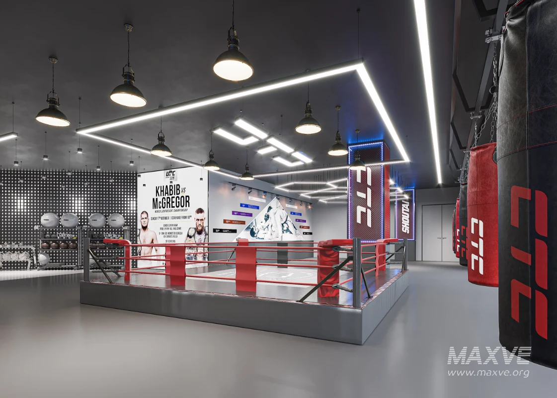 Fighting Boxing Gym - Image 6