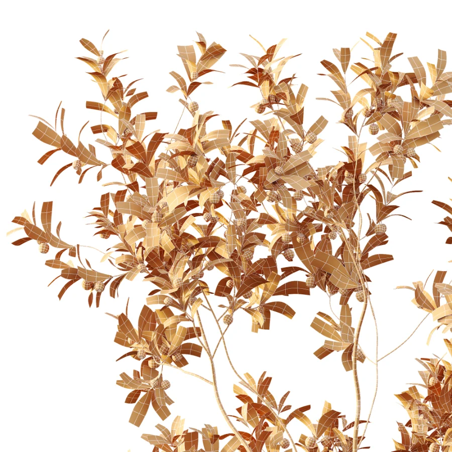 AV Plant Bush Bilberry Vaccinium Myrtillus Fruit - Image 12