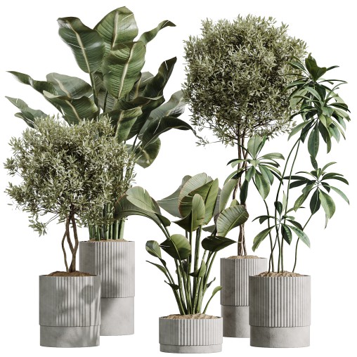 strelitzia - Download Free 3D Model Furniture