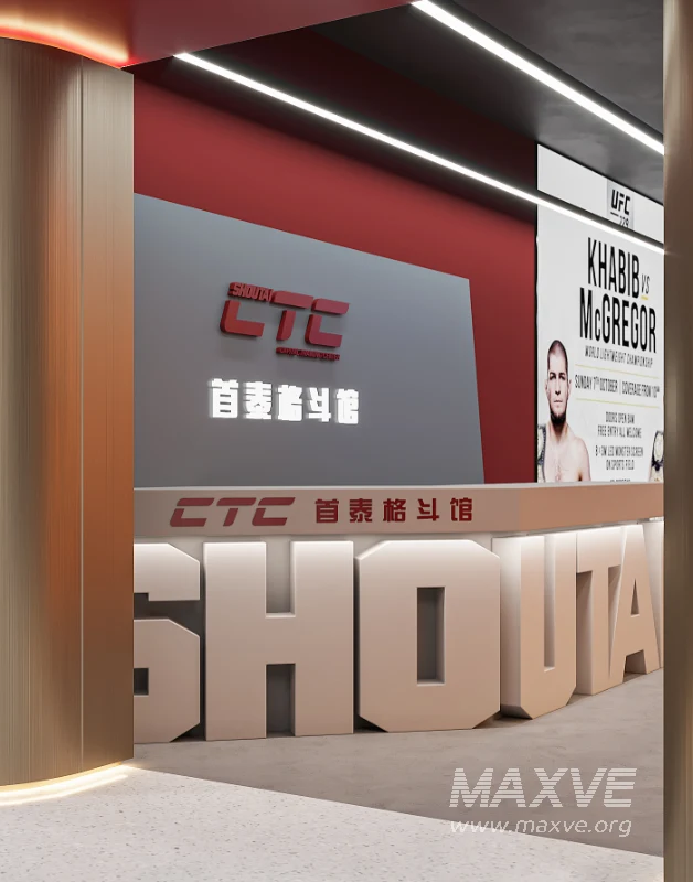 Fighting Boxing Gym - Image 3