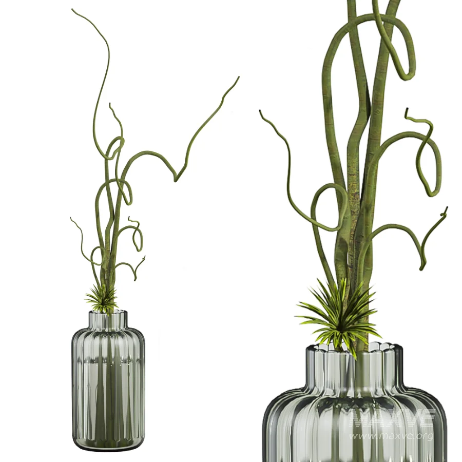 bouquet set - Image 3