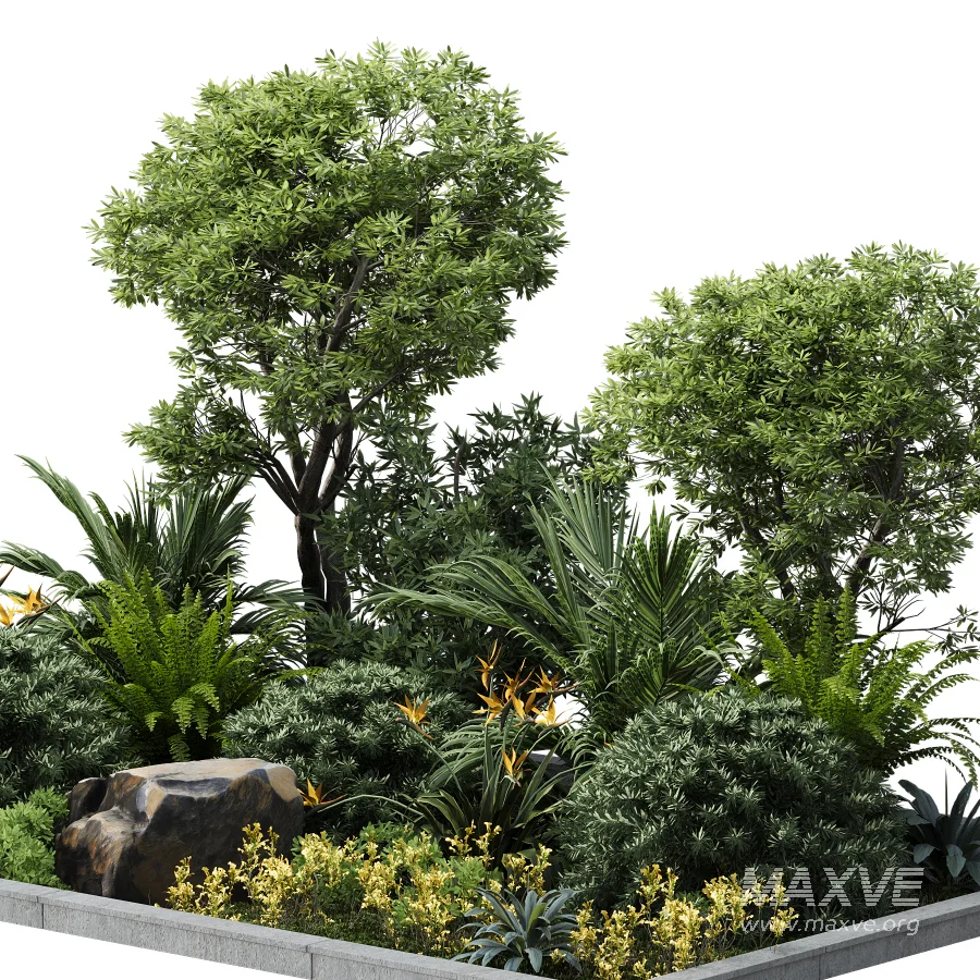 Outdoor plant - Image 3