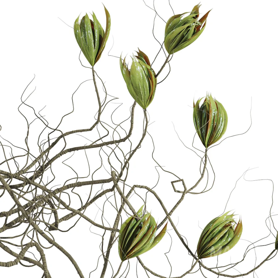 bouquet set - Image 4