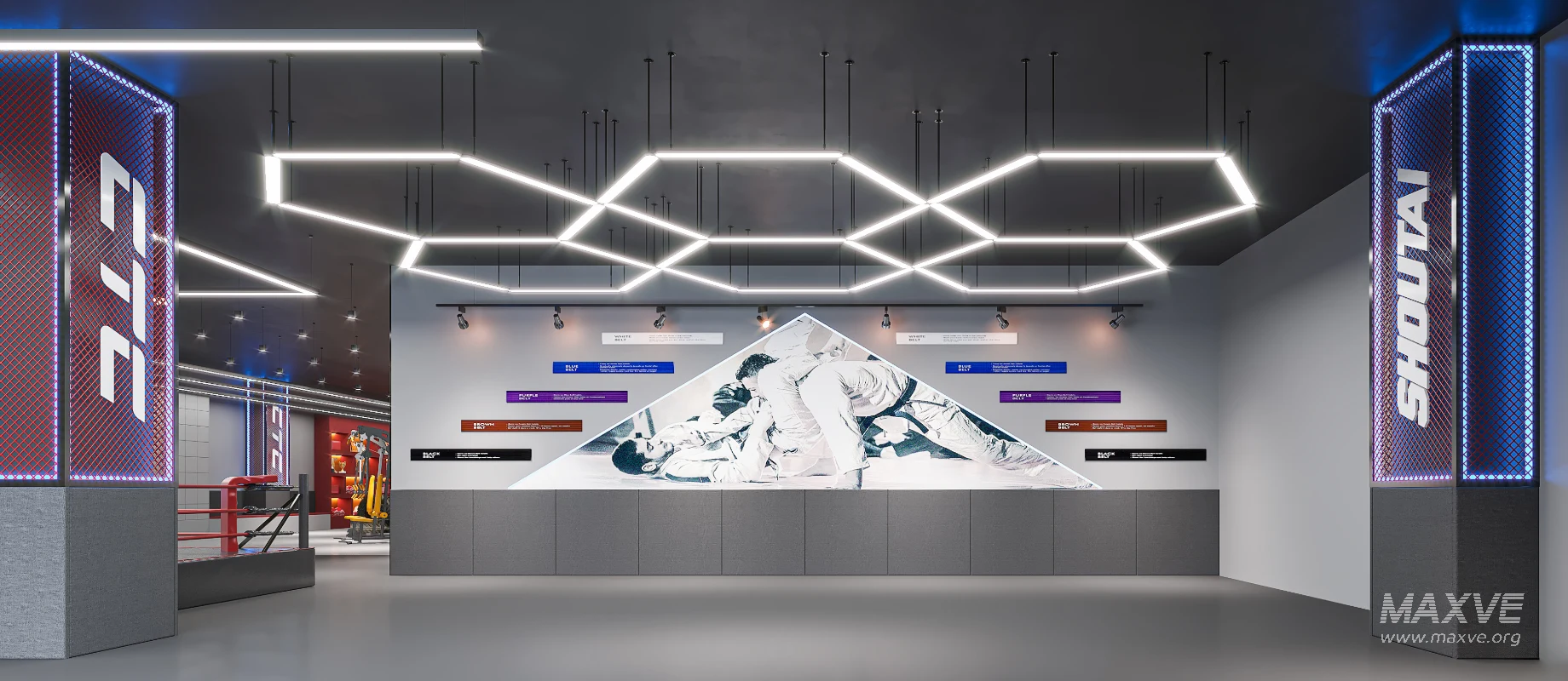 Fighting Boxing Gym - Image 2