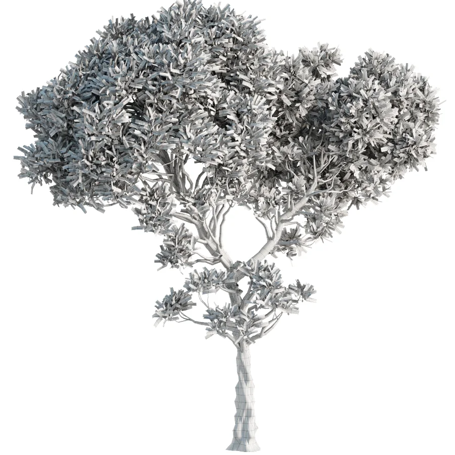 Tree Set43 - Image 2