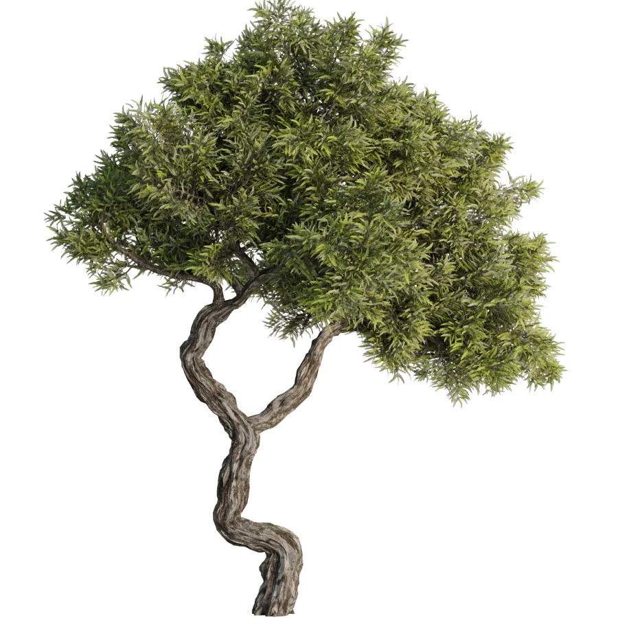 Tree Set40 - Image 3