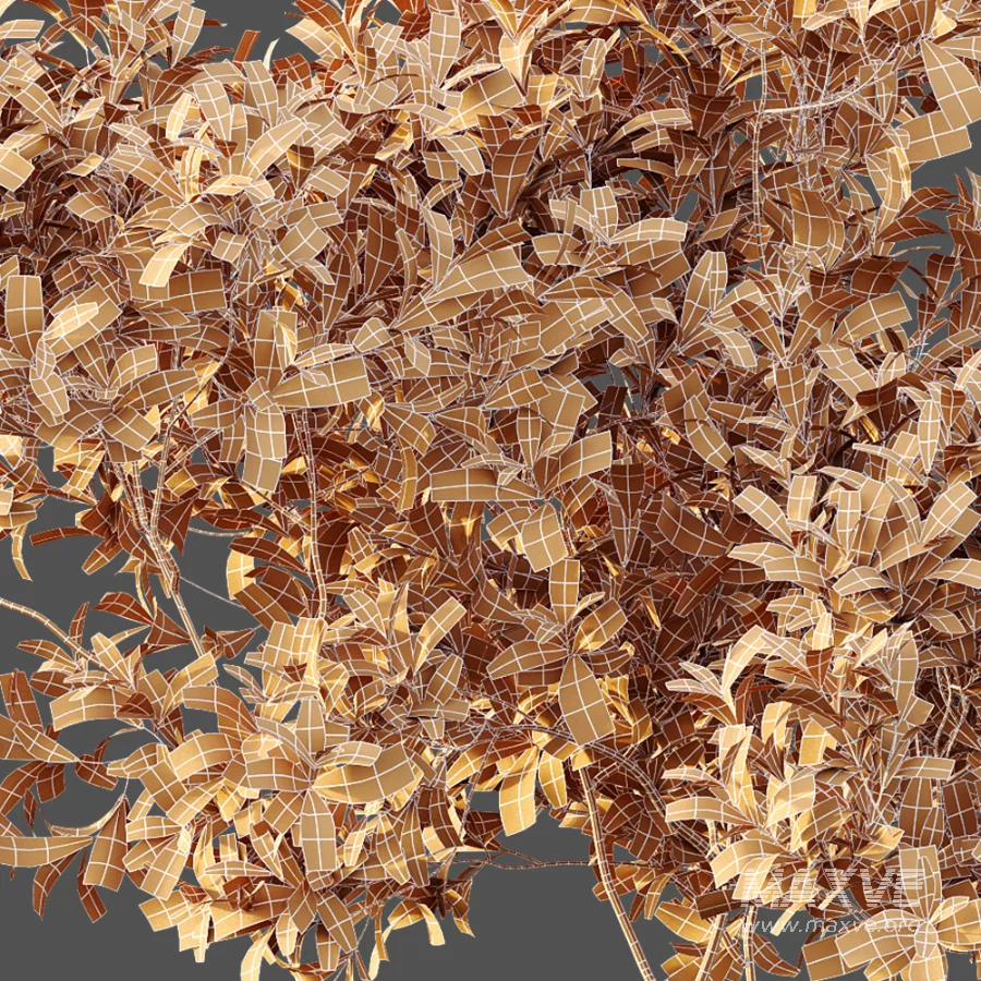 AV Plant Bush Bilberry Vaccinium Myrtillus - Image 11