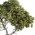 Tree Set44 - Thumbnail 4