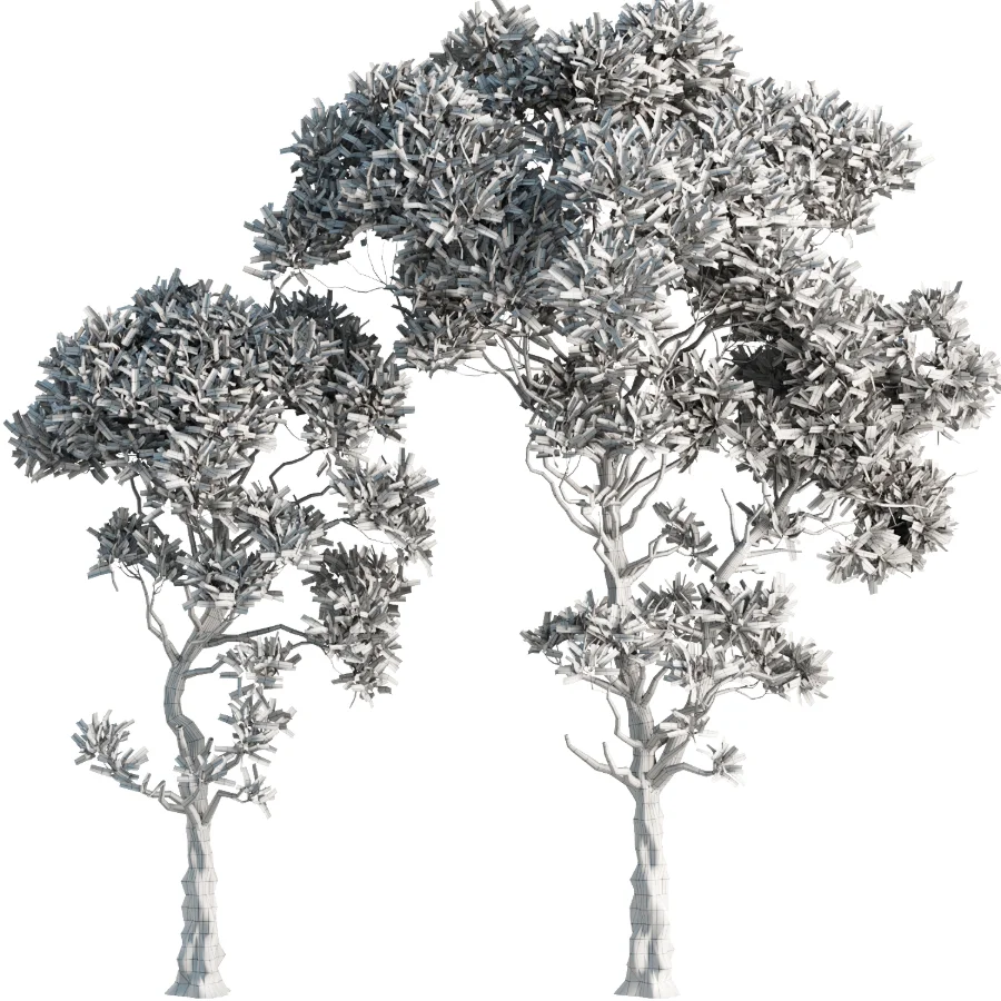 Tree Set39-Urban tree - Image 4