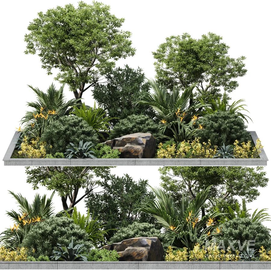 Outdoor plant - Image 2