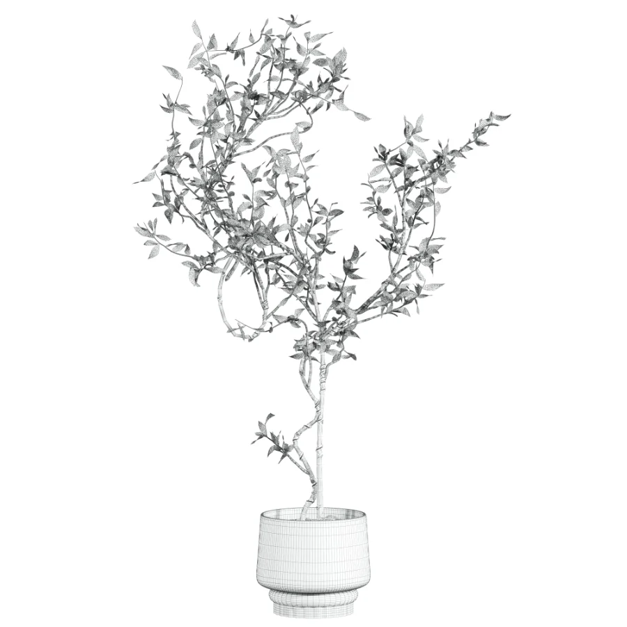 potted tree plant - Image 4