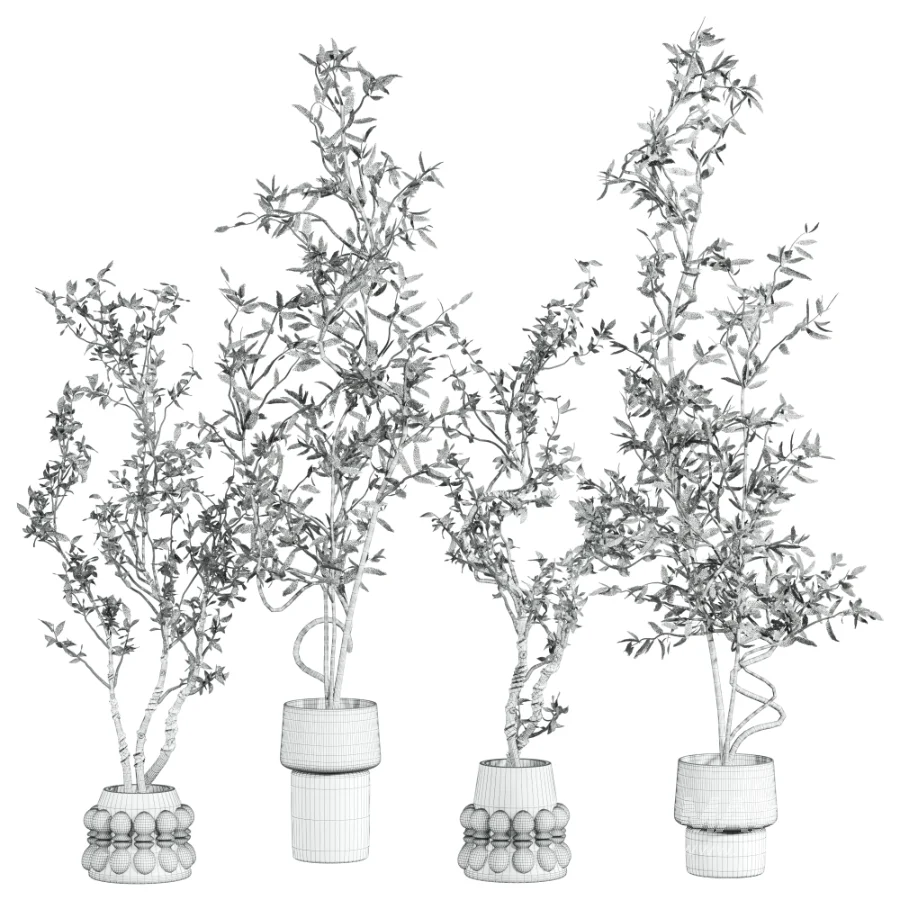 potted tree plants - Image 2