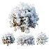 AV WinterPlant Snow Arboreum Bush and Snow Phillyrea Angustifolia - Thumbnail 3