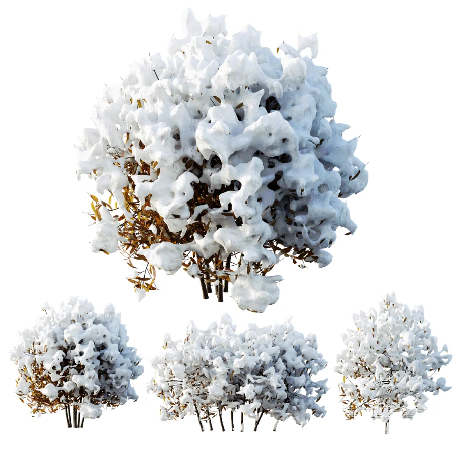AV WinterPlant Snow Arboreum Bush and Snow Phillyrea Angustifolia - Image 3