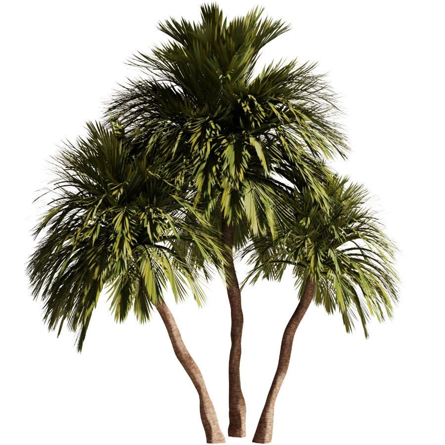 Tree Set48 - Image 3