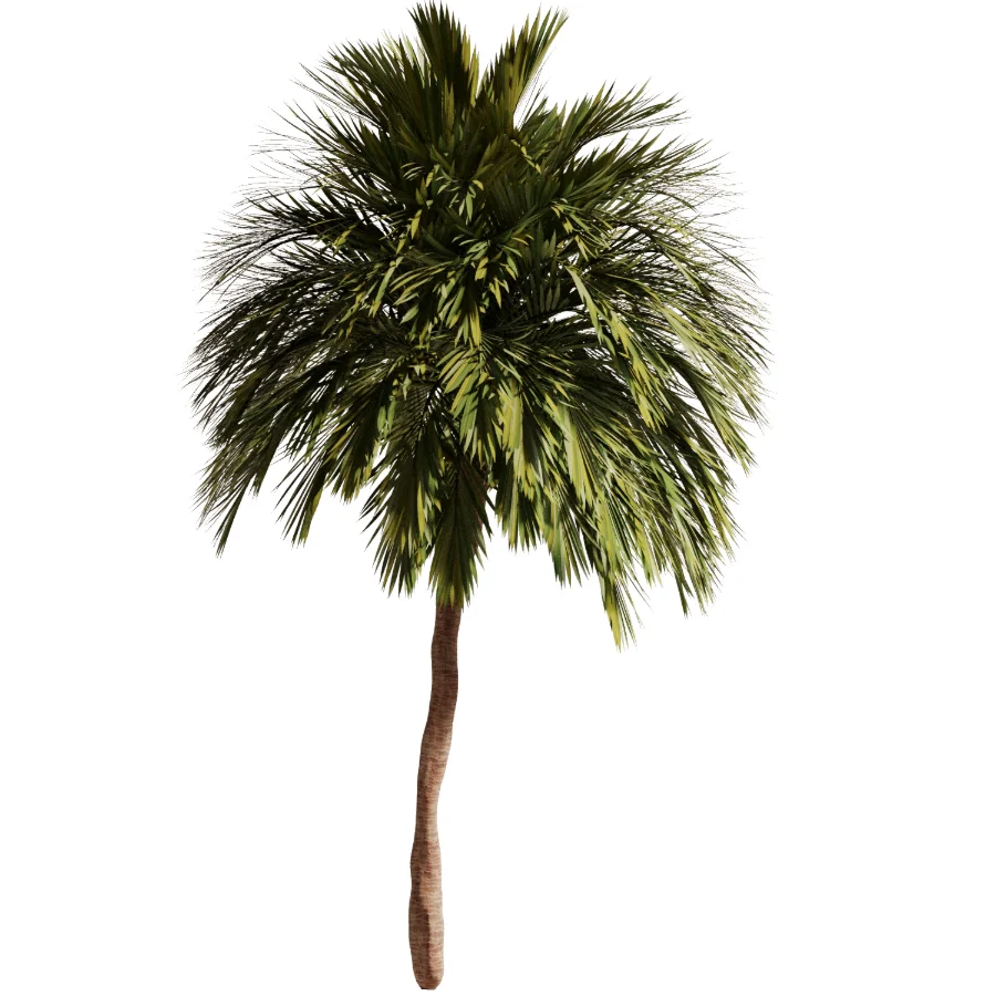 Tree Set47 - Image 2