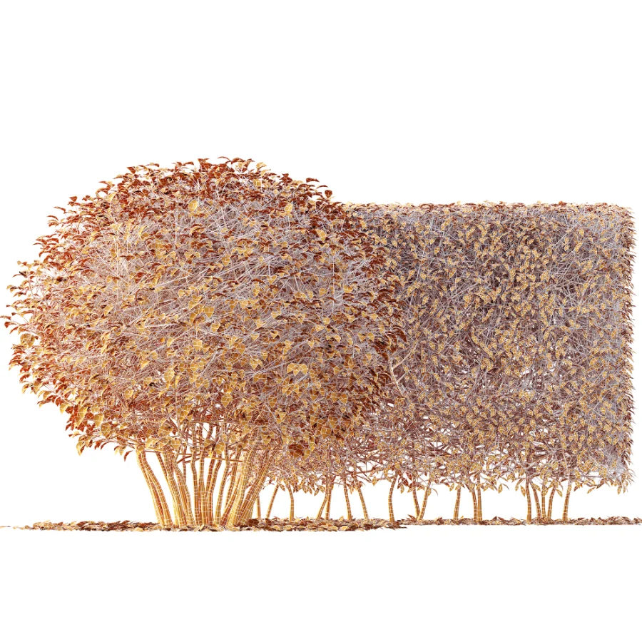 ntal greenery. - Image 5