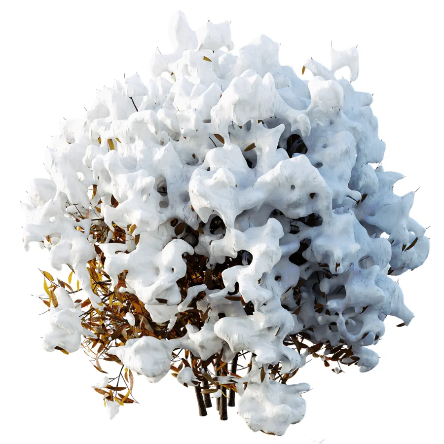 AV WinterPlant Snow Arboreum Bush and Snow Phillyrea Angustifolia - Image 6