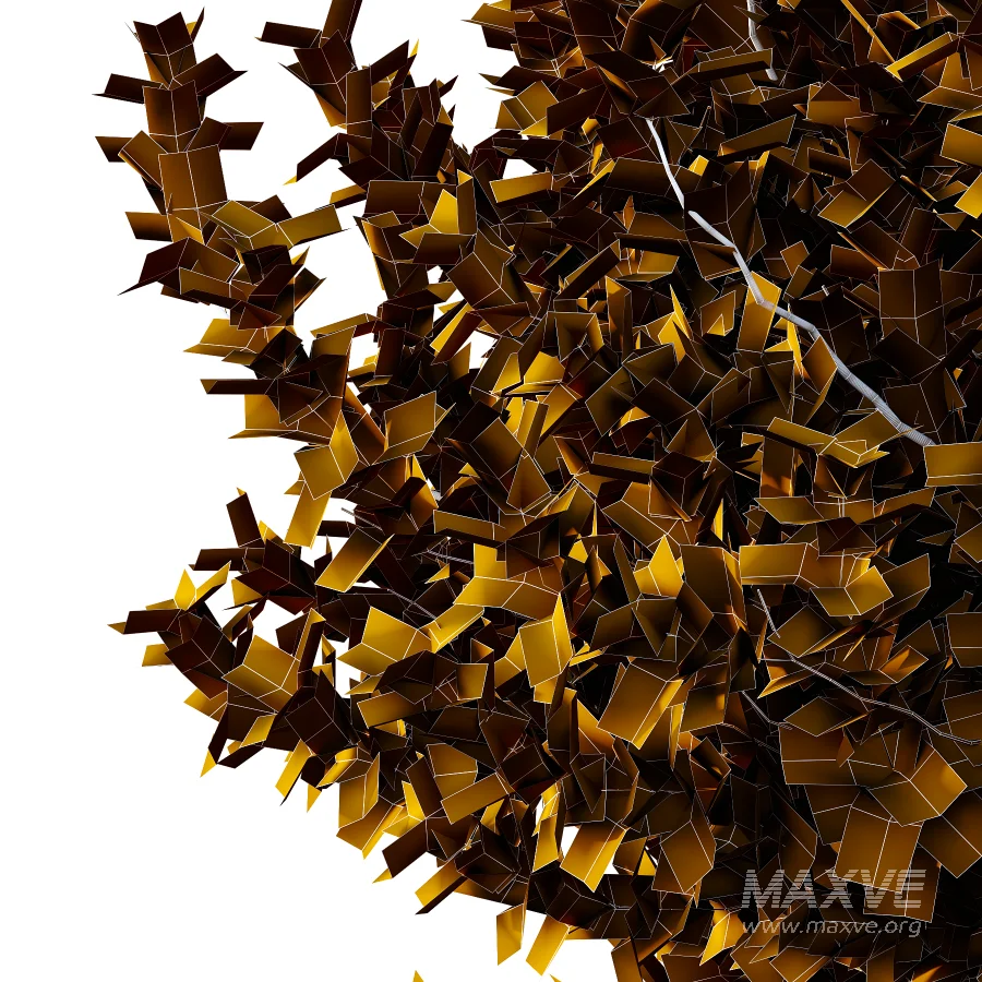 Diffrent Bush 01 Fruits Fortescue Euonymus - Image 1