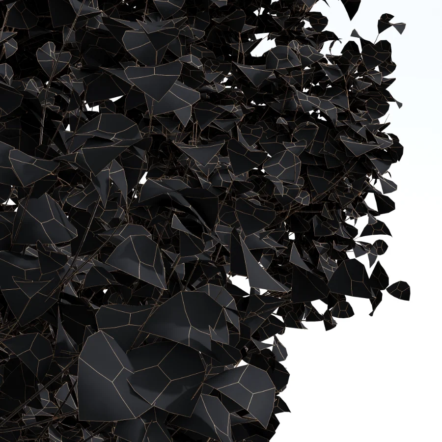 AV Fall trees Acer Saccharinum and Maidenhair Ginkgo - Image 2