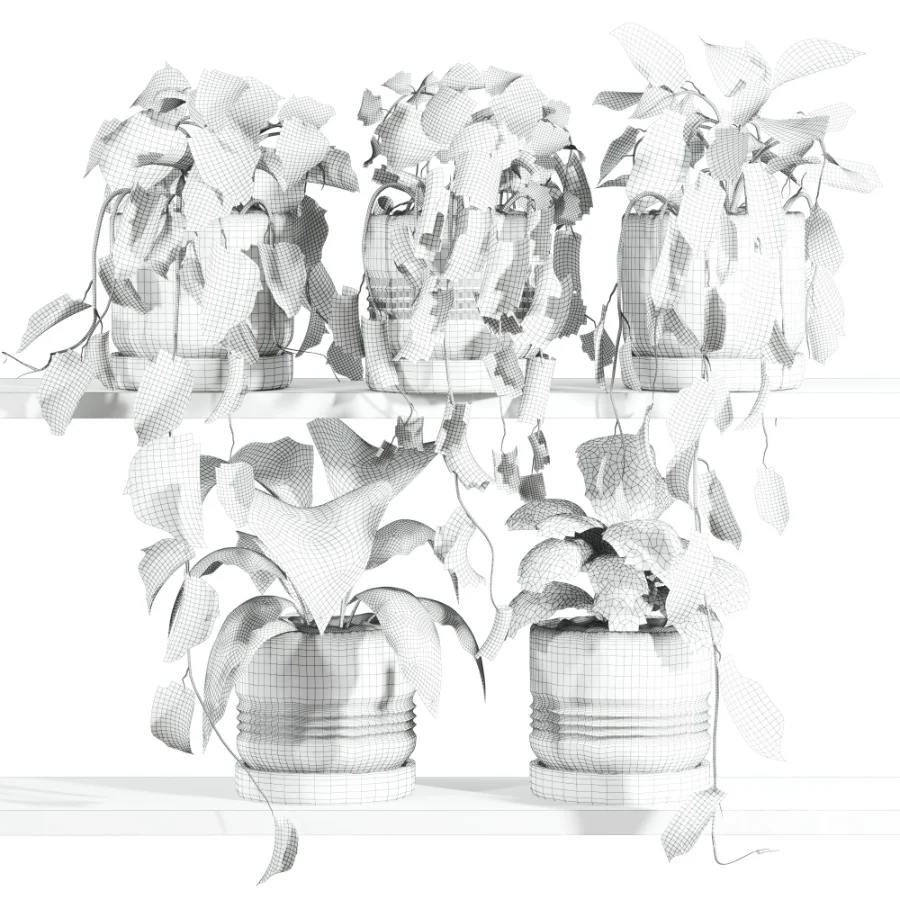 ivy potted plants on shelf - Image 4