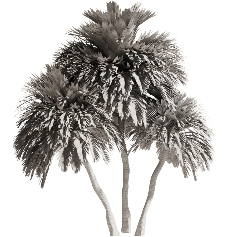 Tree Set48 - Image 4