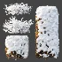 AV Winter plant Snow Quihoui Privet and Snow Abelia Grandiflora - Thumbnail 7