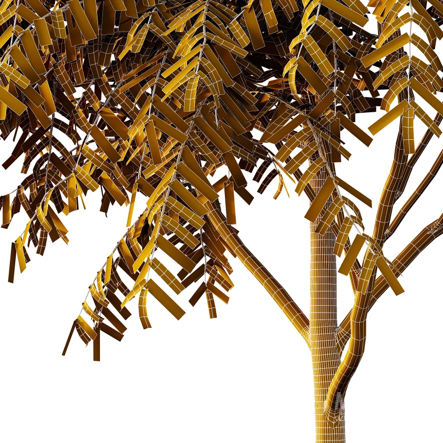 Averrhoa bilimbi Tree 01 - Image 6