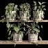 ivy potted plants on shelf - Thumbnail 2