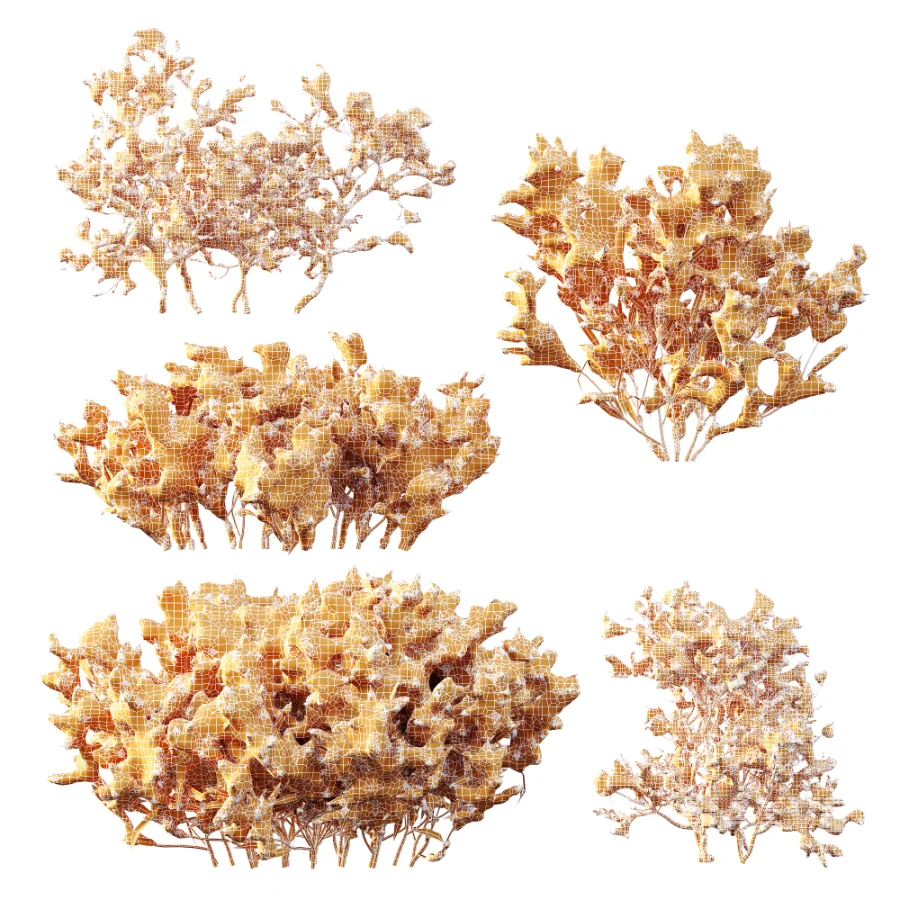 AV Plant Snow Pennsylvania Bayberry and Mexican Sage winter - Image 9